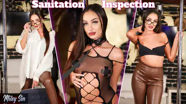 Sanitetsinspektion