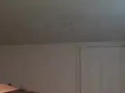 Twerking-drottning
