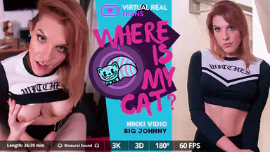 Var är min katt, Nikki Vidic