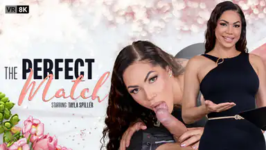 Trans – Den perfekta matchen